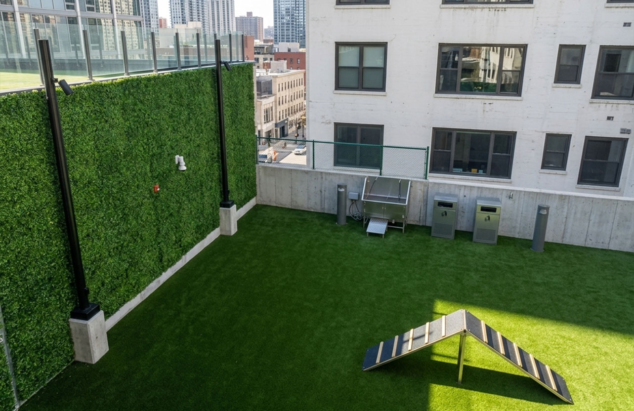 pet-turf-gallery-04